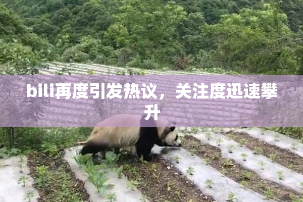 bili再度引发热议，关注度迅速攀升