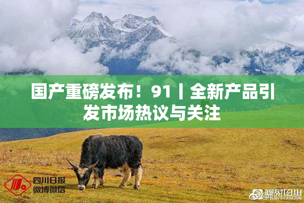 国产重磅发布！91丨全新产品引发市场热议与关注