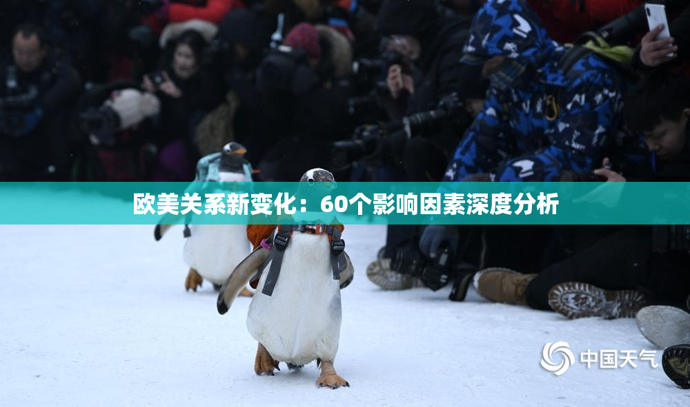 欧美关系新变化：60个影响因素深度分析