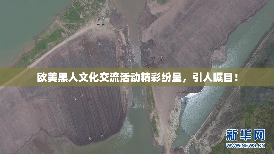 欧美黑人文化交流活动精彩纷呈，引人瞩目！
