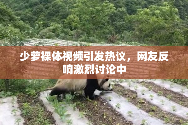 少萝裸体视频引发热议，网友反响激烈讨论中