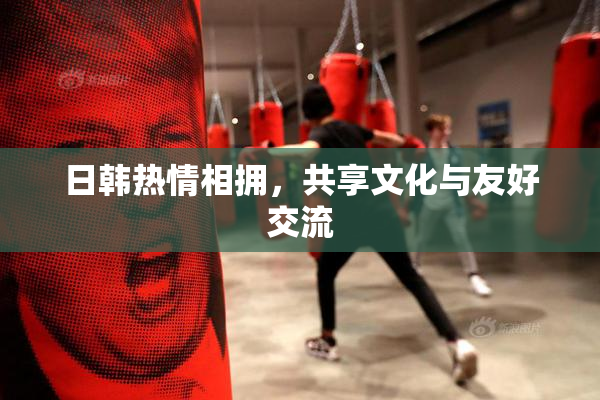 日韩热情相拥，共享文化与友好交流