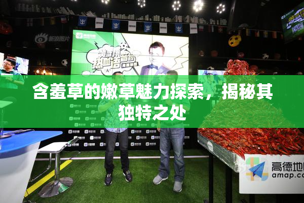 含羞草的嫩草魅力探索，揭秘其独特之处