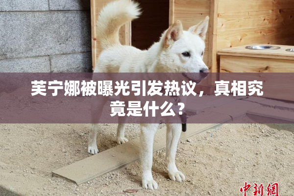 芙宁娜被曝光引发热议，真相究竟是什么？
