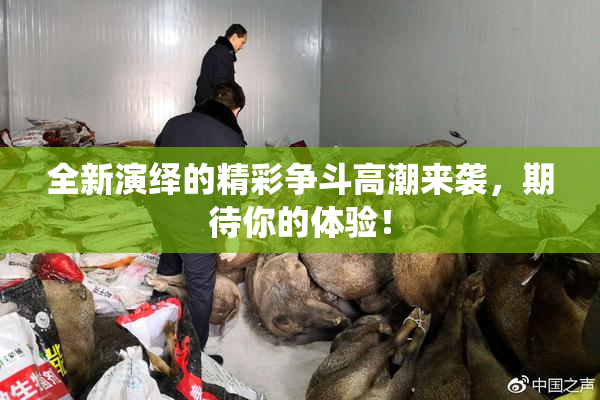 全新演绎的精彩争斗高潮来袭，期待你的体验！