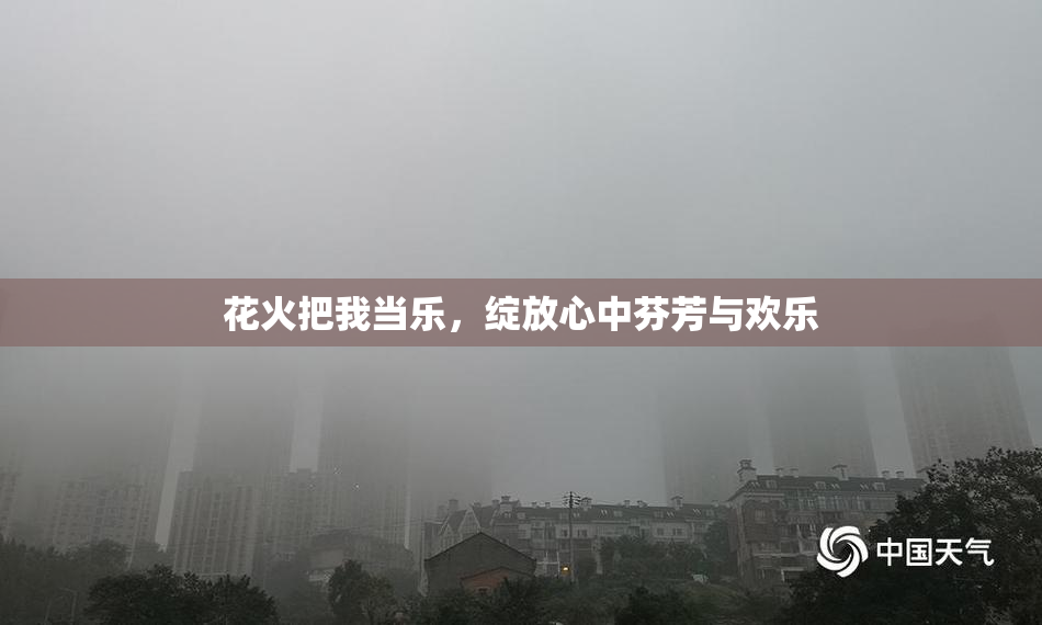 花火把我当乐，绽放心中芬芳与欢乐