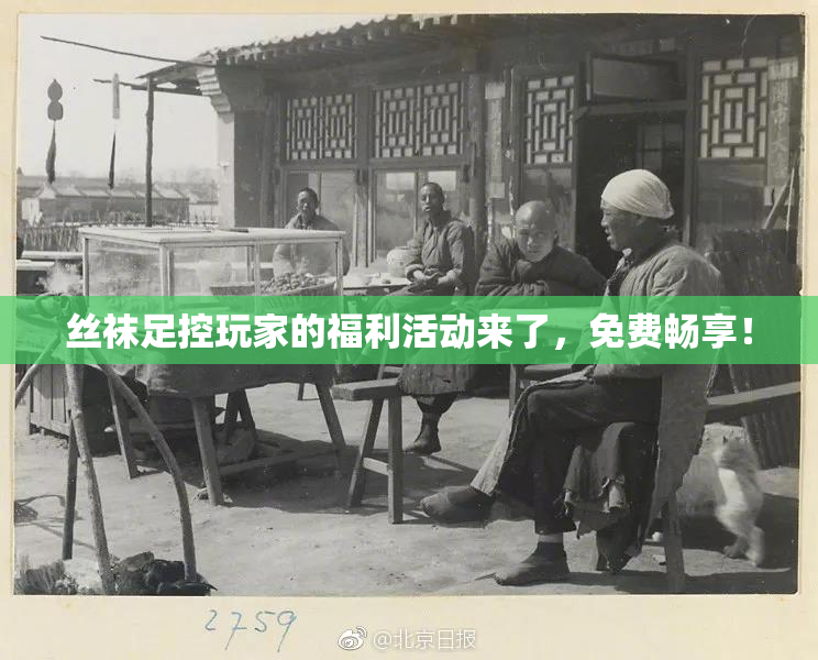 丝袜足控玩家的福利活动来了，免费畅享！
