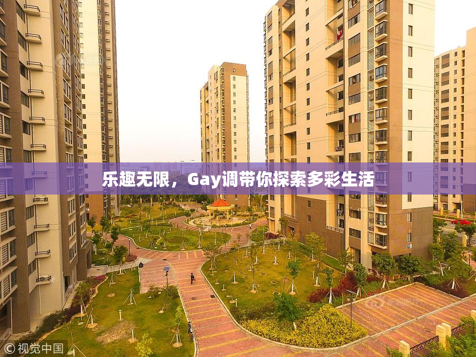 乐趣无限，Gay调带你探索多彩生活