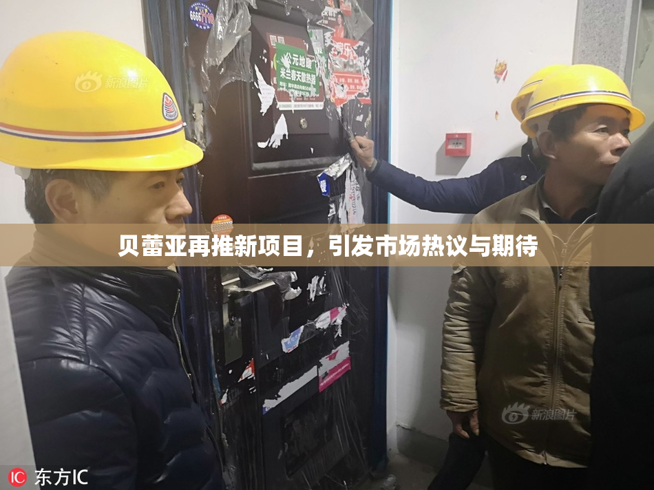 贝蕾亚再推新项目，引发市场热议与期待
