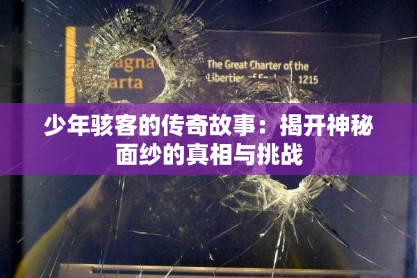 少年骇客的传奇故事：揭开神秘面纱的真相与挑战