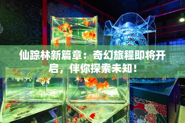仙踪林新篇章：奇幻旅程即将开启，伴你探索未知！