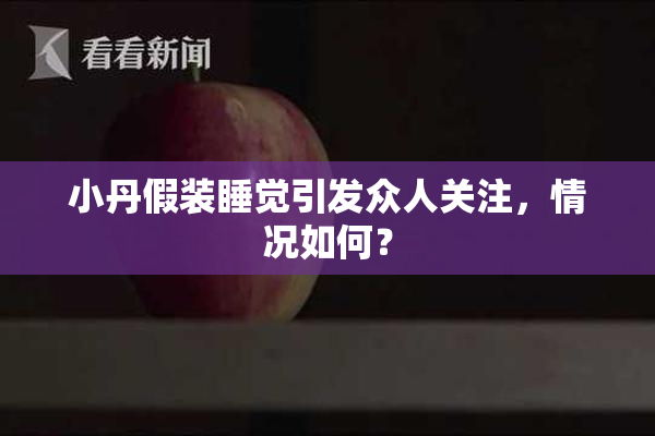 小丹假装睡觉引发众人关注，情况如何？