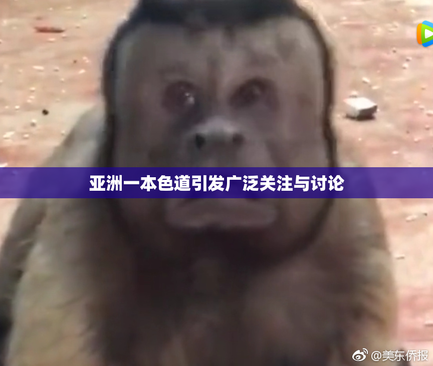 亚洲一本色道引发广泛关注与讨论