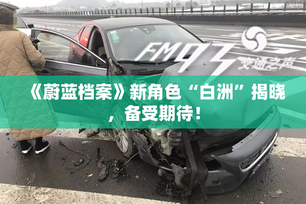 《蔚蓝档案》新角色“白洲”揭晓，备受期待！