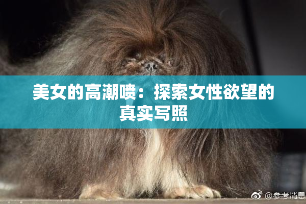 美女的高潮喷：探索女性欲望的真实写照