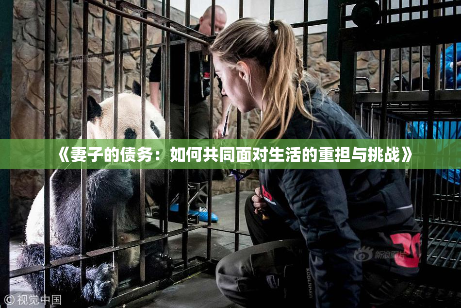 《妻子的债务：如何共同面对生活的重担与挑战》