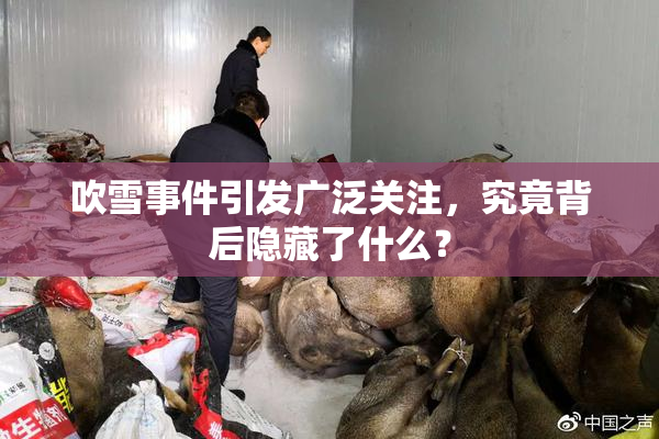 吹雪事件引发广泛关注，究竟背后隐藏了什么？