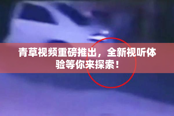 青草视频重磅推出，全新视听体验等你来探索！