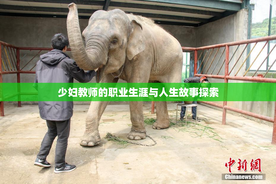 少妇教师的职业生涯与人生故事探索