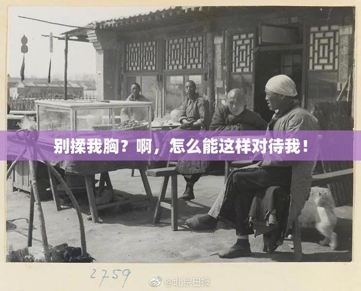 别揉我胸？啊，怎么能这样对待我！