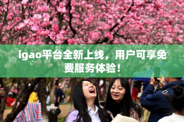 igao平台全新上线，用户可享免费服务体验！