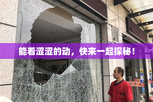 能看涩涩的动，快来一起探秘！
