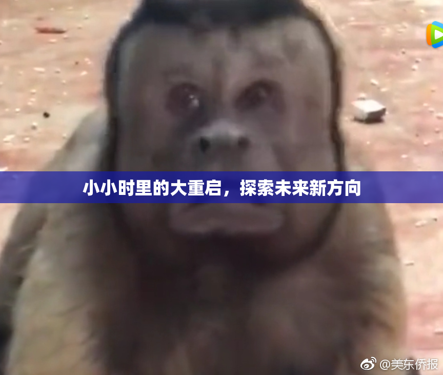 小小时里的大重启，探索未来新方向