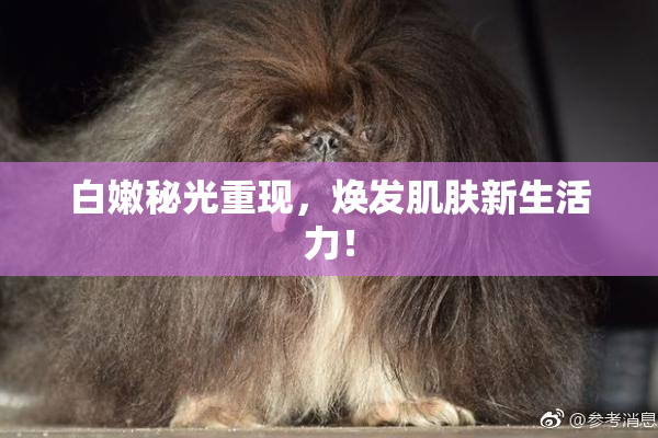 白嫩秘光重现，焕发肌肤新生活力！