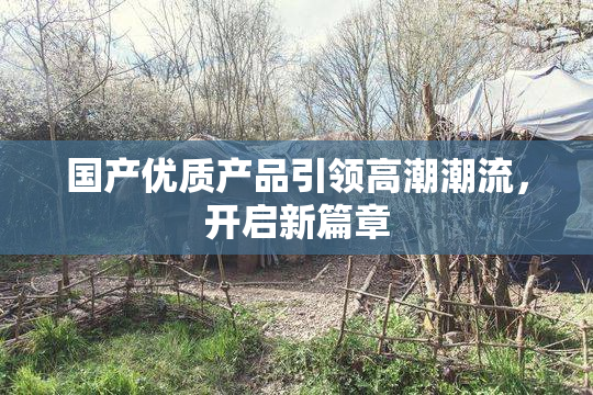 国产优质产品引领高潮潮流，开启新篇章