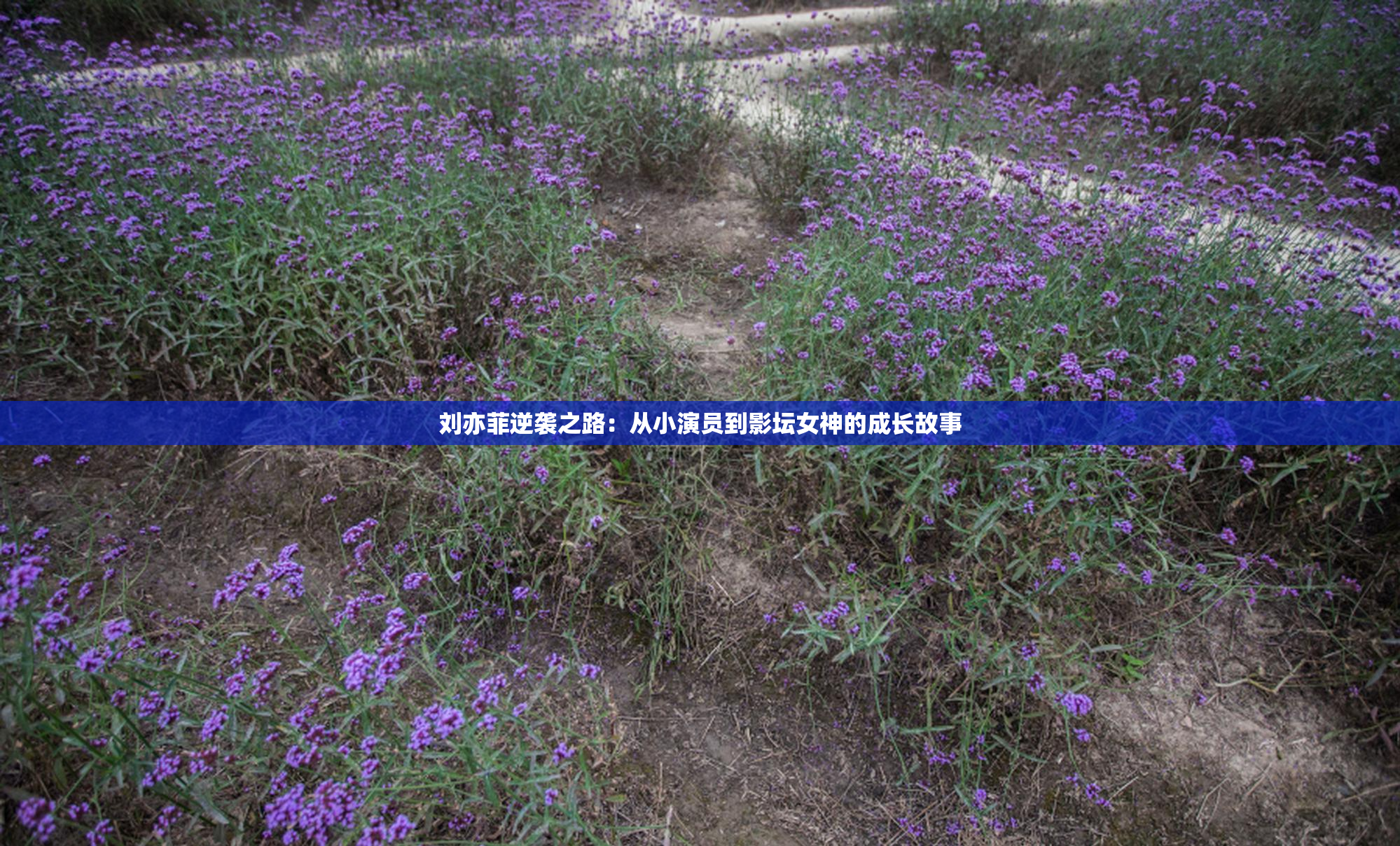 刘亦菲逆袭之路：从小演员到影坛女神的成长故事