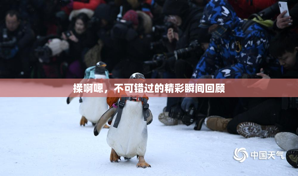 揉啊嗯，不可错过的精彩瞬间回顾