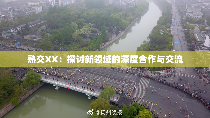 熟交XX：探讨新领域的深度合作与交流