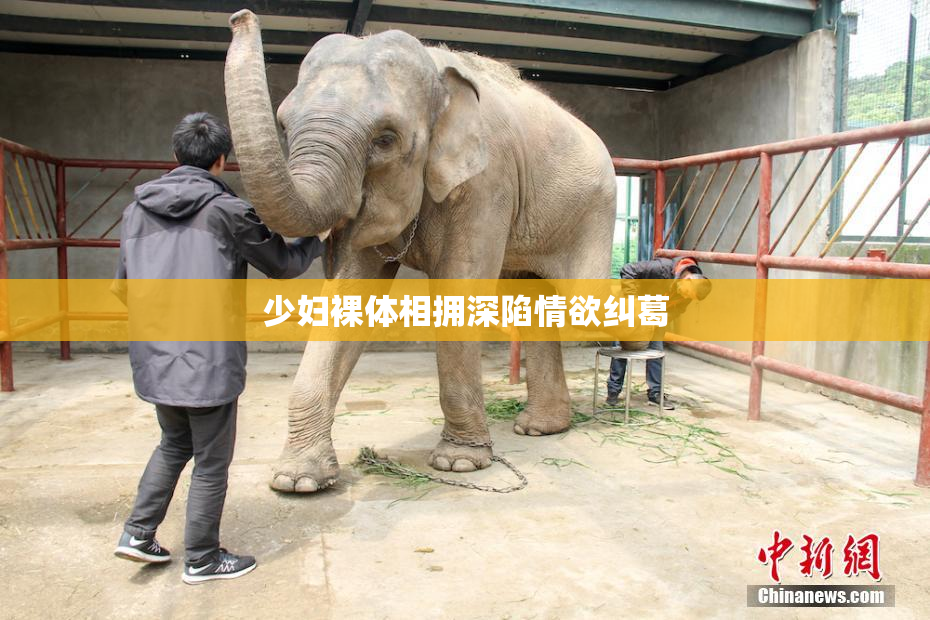 少妇裸体相拥深陷情欲纠葛