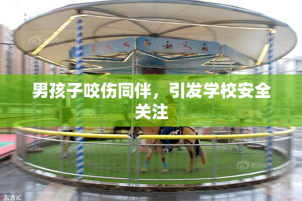 男孩子咬伤同伴，引发学校安全关注