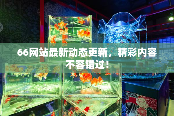66网站最新动态更新，精彩内容不容错过！