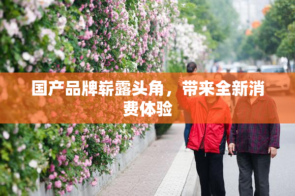 国产品牌崭露头角，带来全新消费体验