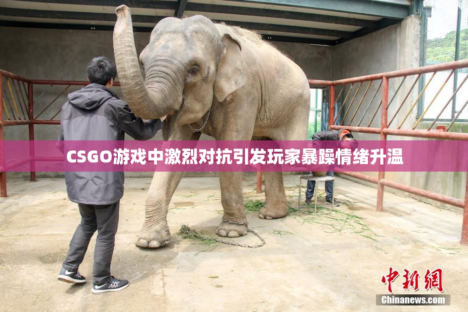CSGO游戏中激烈对抗引发玩家暴躁情绪升温