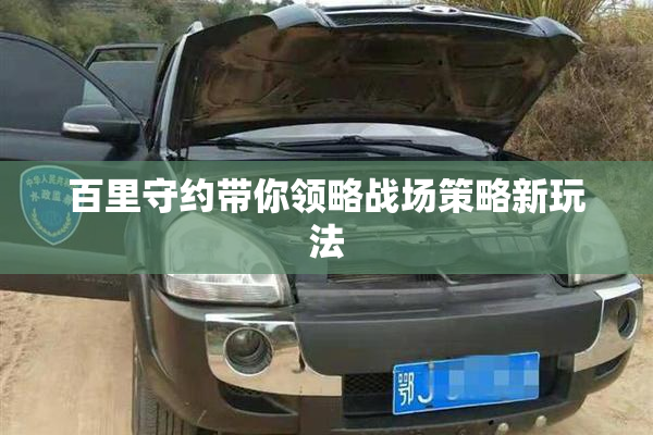 百里守约带你领略战场策略新玩法