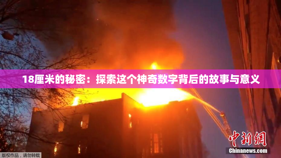 18厘米的秘密：探索这个神奇数字背后的故事与意义