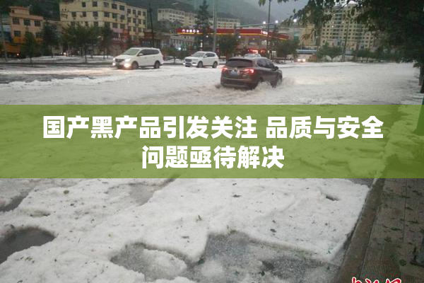 国产黑产品引发关注 品质与安全问题亟待解决