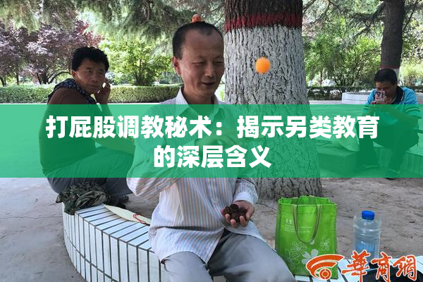 打屁股调教秘术：揭示另类教育的深层含义