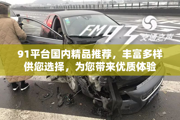 91平台国内精品推荐，丰富多样供您选择，为您带来优质体验