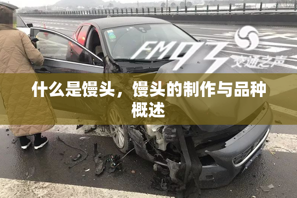 什么是馒头，馒头的制作与品种概述