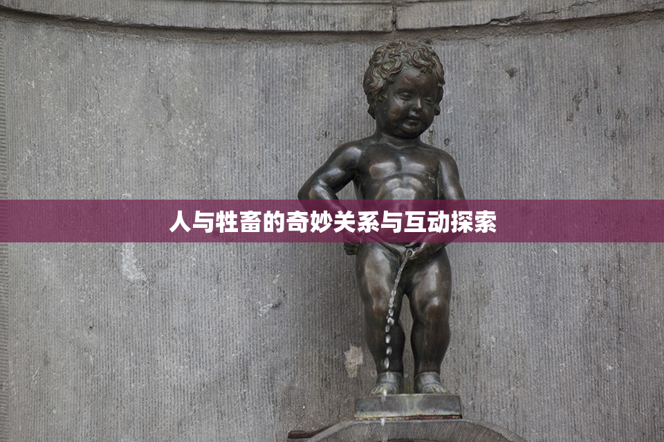 人与牲畜的奇妙关系与互动探索