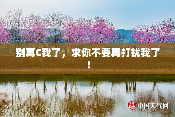 别再C我了，求你不要再打扰我了！