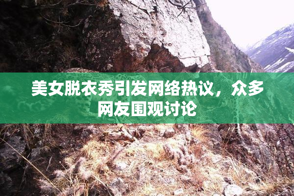 美女脱衣秀引发网络热议，众多网友围观讨论