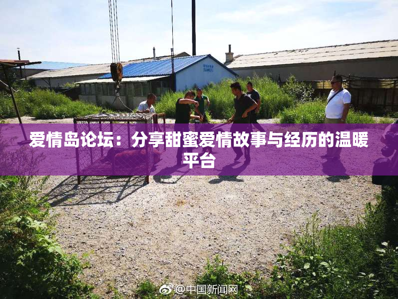 爱情岛论坛：分享甜蜜爱情故事与经历的温暖平台