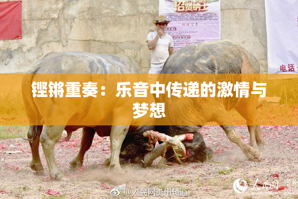 铿锵重奏：乐音中传递的激情与梦想