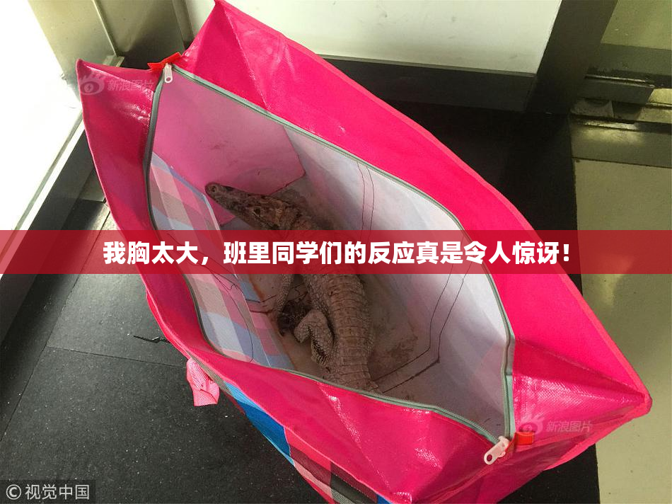 我胸太大，班里同学们的反应真是令人惊讶！