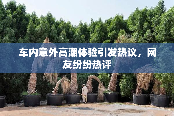 车内意外高潮体验引发热议，网友纷纷热评